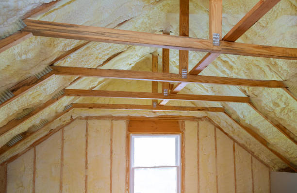 Best Commercial Insulation in Manor, TX